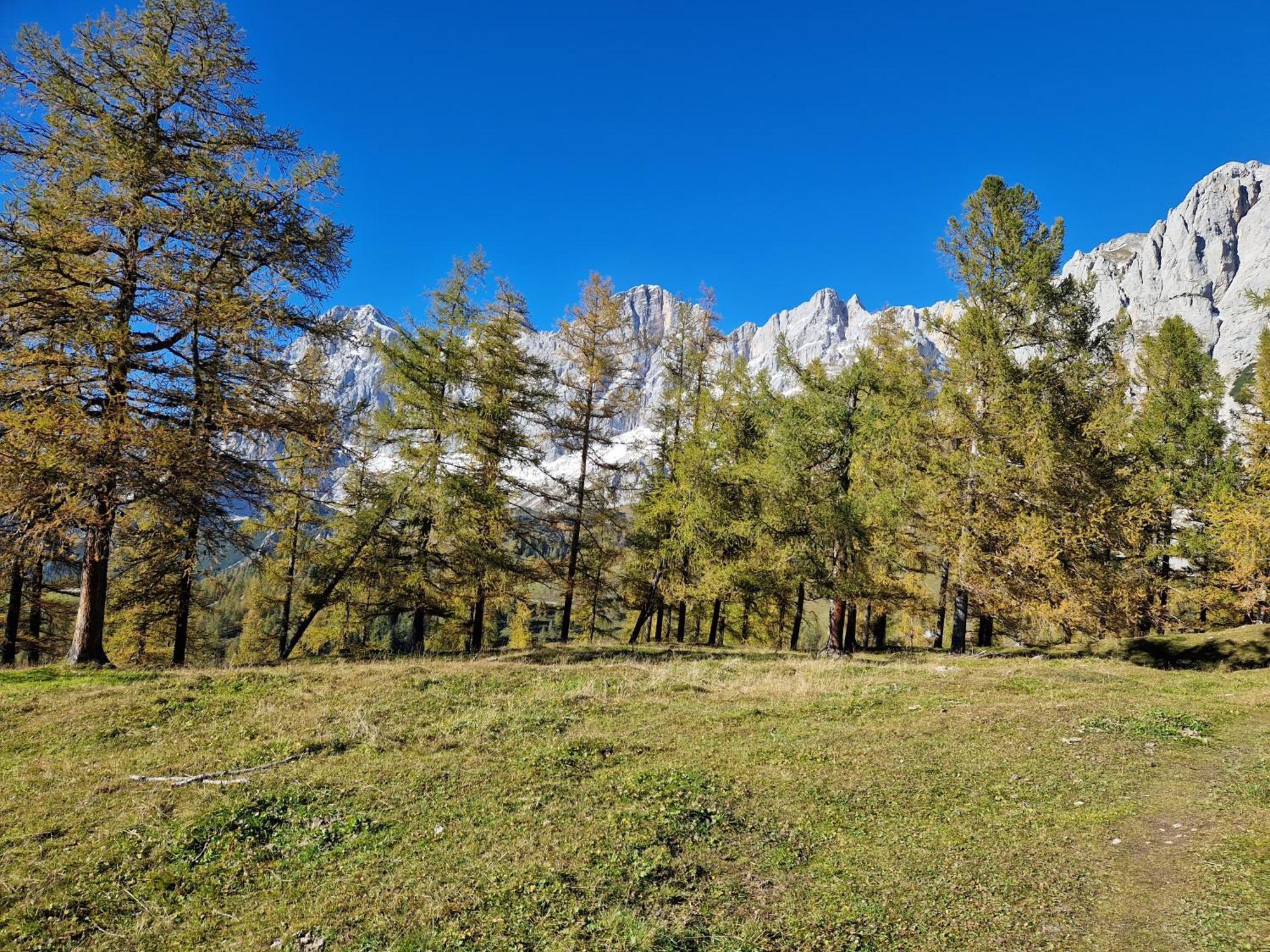 Romantikapartment Mit Sommercard Ramsau am Dachstein Exterior foto